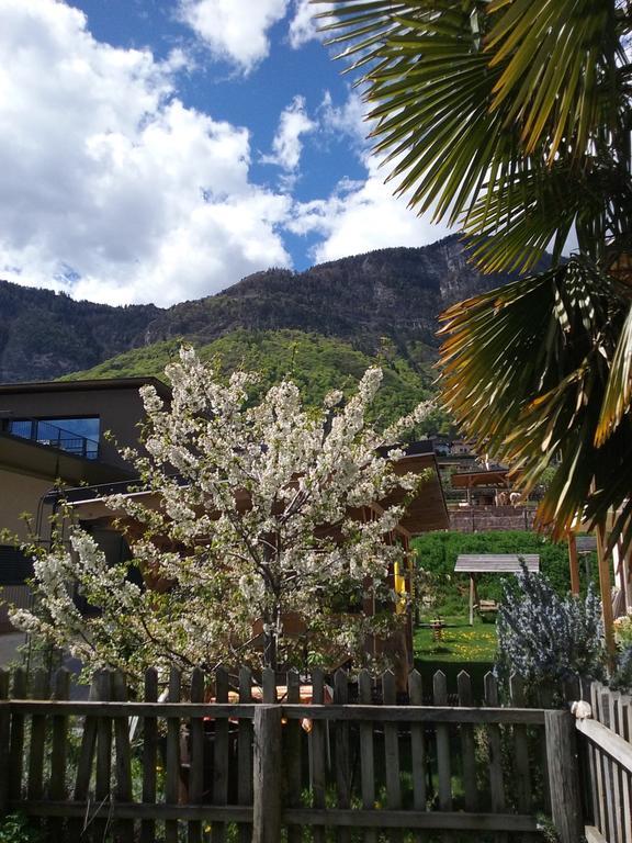 Wiesmuellerhof Caldaro Buitenkant foto