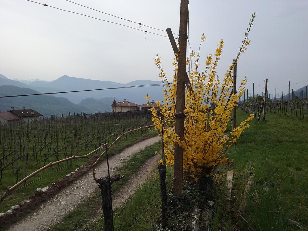 Wiesmuellerhof Caldaro Buitenkant foto
