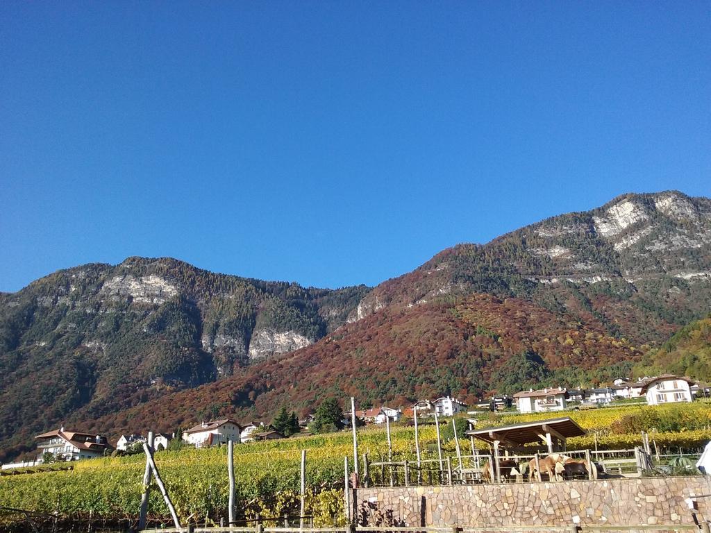 Wiesmuellerhof Caldaro Buitenkant foto