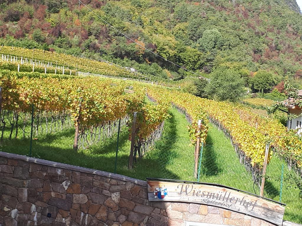Wiesmuellerhof Caldaro Buitenkant foto